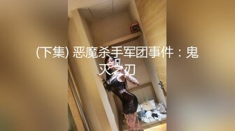 (下集) 恶魔杀手军团事件：鬼灭之刃