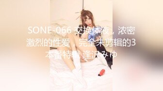 SONE-066 交换体液，浓密激烈的性爱，完全未剪辑的3本番特辑 逢沢みゆ