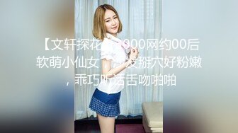 【文轩探花】3000网约00后软萌小仙女，沙发掰穴好粉嫩，乖巧听话舌吻啪啪