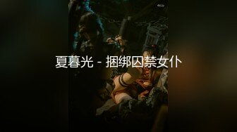 夏暮光 - 捆绑囚禁女仆