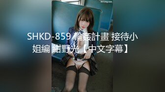 SHKD-859 輪姦計畫 接待小姐編 紺野光【中文字幕】