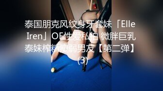 泰国朋克风纹身牙套妹「Elle Iren」OF性爱私拍 微胖巨乳泰妹榨精瘦弱男友【第二弹】 (3)