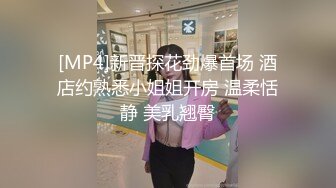 [MP4]新晋探花劲爆首场 酒店约熟悉小姐姐开房 温柔恬静 美乳翘臀