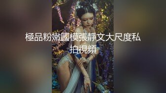 極品粉嫩國模張靜文大尺度私拍視頻