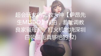 超会玩女的调教大神【伊昂先生MISDO】私拍，羞耻调教良家骚母狗，打火机燃烧深圳白领逼毛真够绝的 (2)