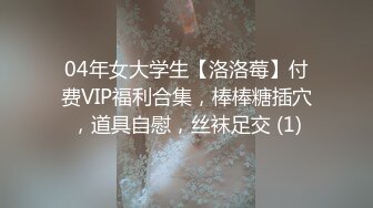 04年女大学生【洛洛莓】付费VIP福利合集，棒棒糖插穴，道具自慰，丝袜足交 (1)