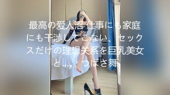 最高の爱人沼 仕事にも家庭にも干渉してこない、セックスだけの理想关系を巨乳美女と…。 つばさ舞