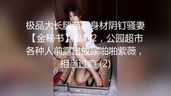 极品大长腿苗条身材阴钉骚妻【金秘书】福利2，公园超市各种人前露出放尿啪啪紫薇，相当过瘾 (2)